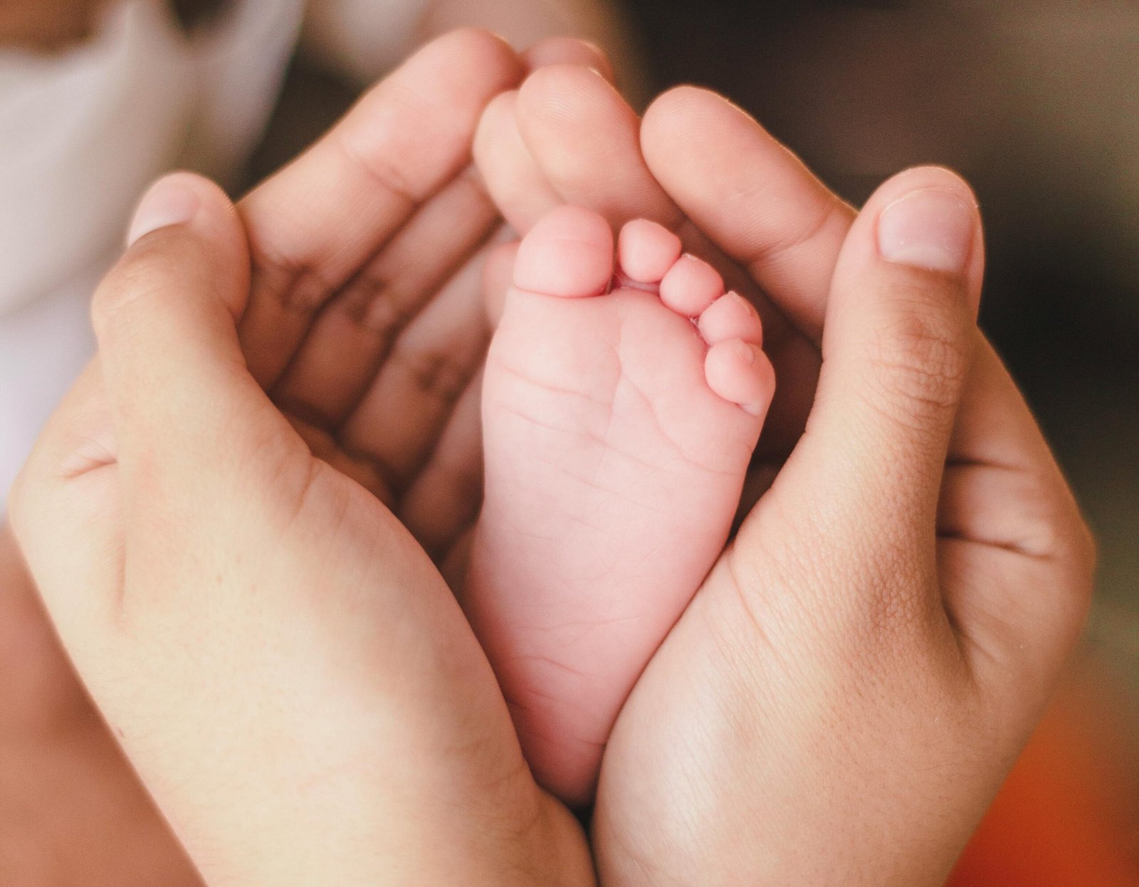 Babyfooji Photos Albums Zip