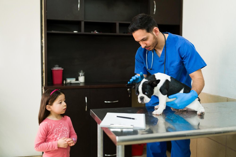 Exploring Disability Insurance Options for Veterinarians in Various Specialties